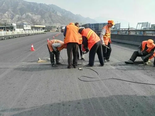 虹口道路桥梁病害治理